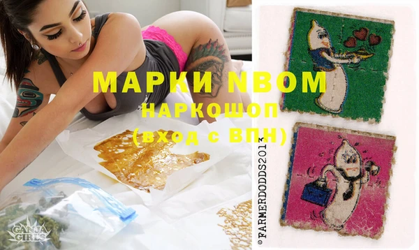 гашик Костерёво