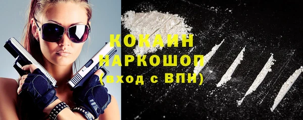 гашик Костерёво