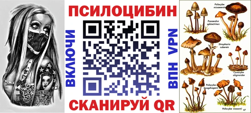 Псилоцибиновые грибы Magic Shrooms Ртищево